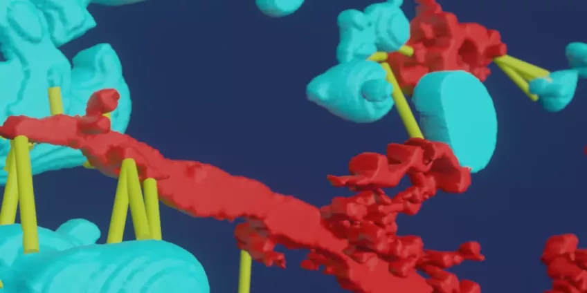 3D rendering of blood cells
